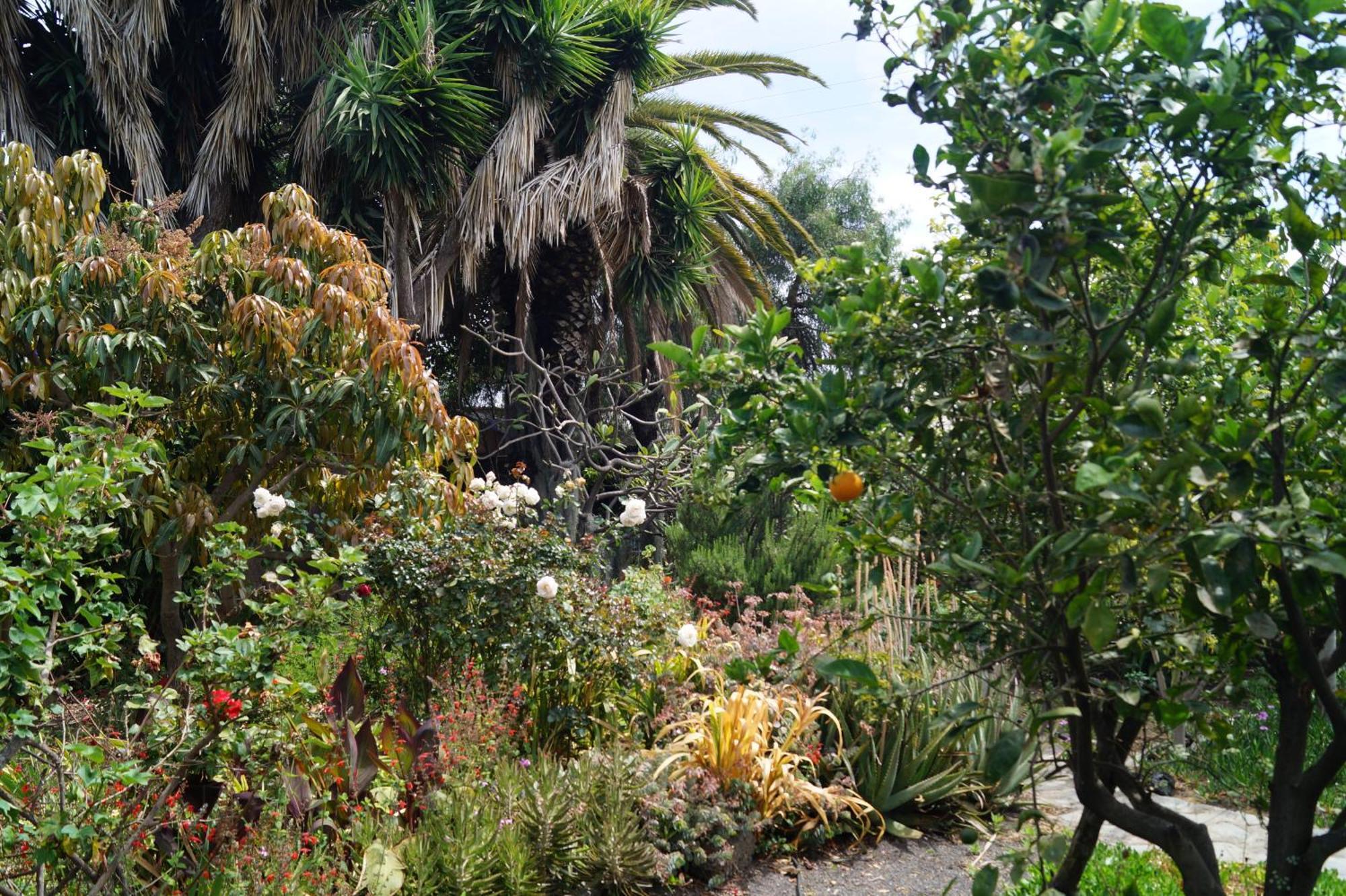 La Casita Del Jardinero Vila Los Llanos De Aridane Exterior foto